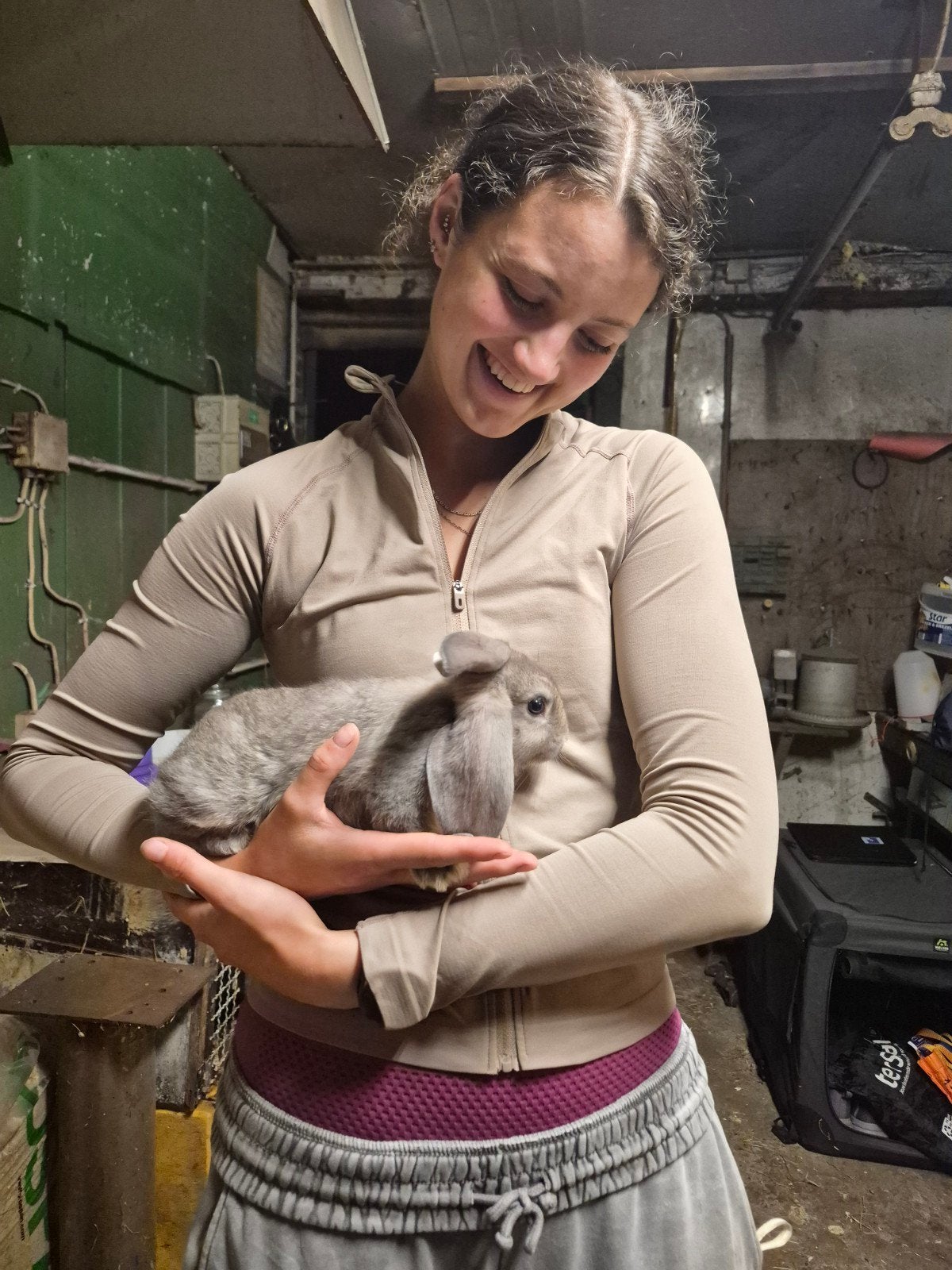Prachtige en super lieve ram konijn te koop, Dieren en Toebehoren, Mannelijk, Middelgroot, Hangoor, 0 tot 2 jaar