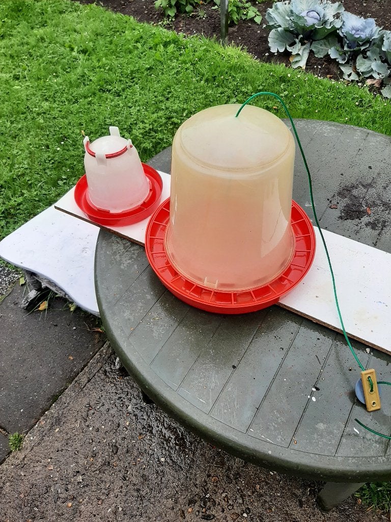drinkbakken, Meerdere dieren