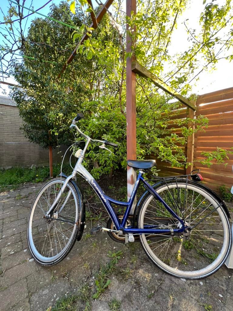 Raleigh fiets -, Ophalen of Verzenden, Zo goed als nieuw, Overige merken