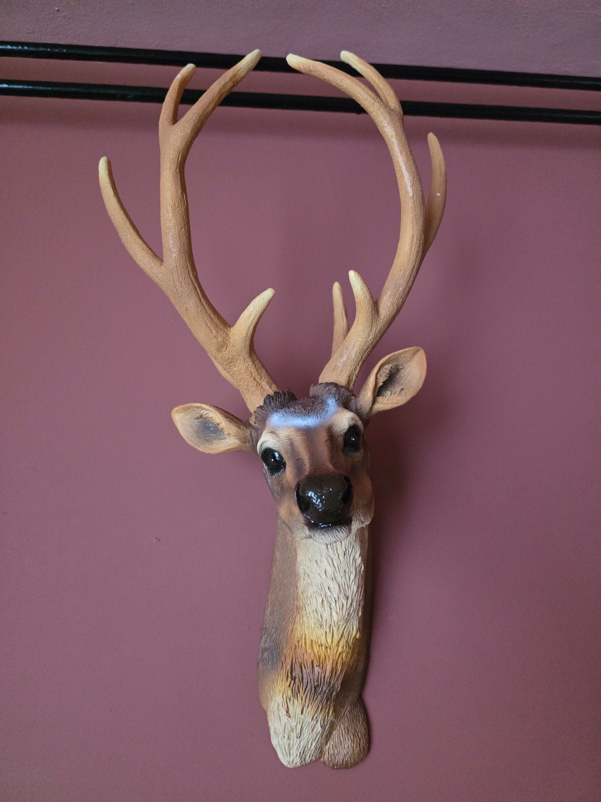 Prachtige nieuwe wanddecoratie hertenkop, Ophalen, Wandsculptuur, Nieuw, Bruin