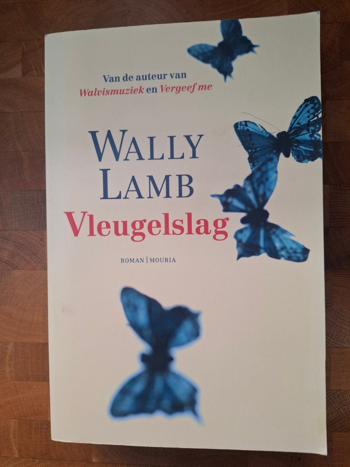 Wally Lamb - Vleugelslag, Boeken, Ophalen of Verzenden, Zo goed als nieuw, Wally Lamb