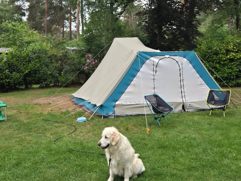 Tent, Ophalen, Gebruikt, Tot en met 6