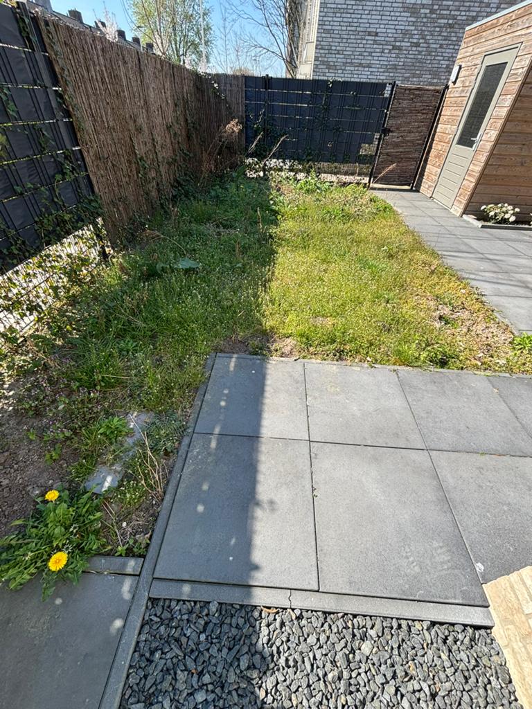 Hulp gevraagd: 30m2 onkruid verwijderen in Eindhoven, Tuin en Terras, Ophalen