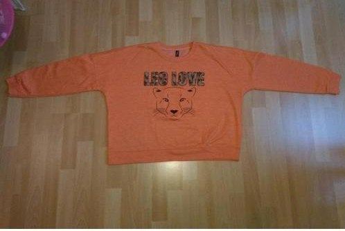 Oranje trui *Leo Love*, Maat 38/40 (M), Oranje, Ophalen of Verzenden, Zo goed als nieuw