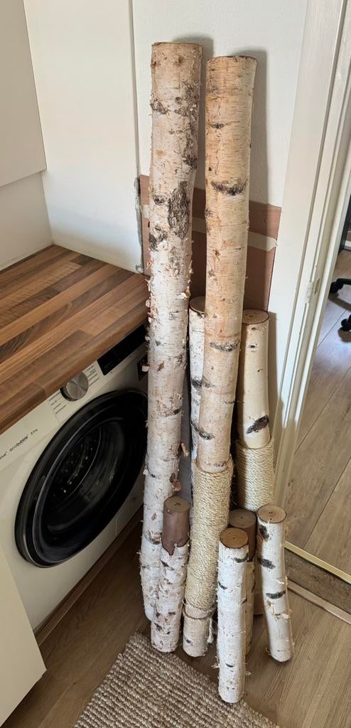 Set boomstammen, Ophalen, Overige houtsoorten, Minder dan 25 mm, Minder dan 200 cm