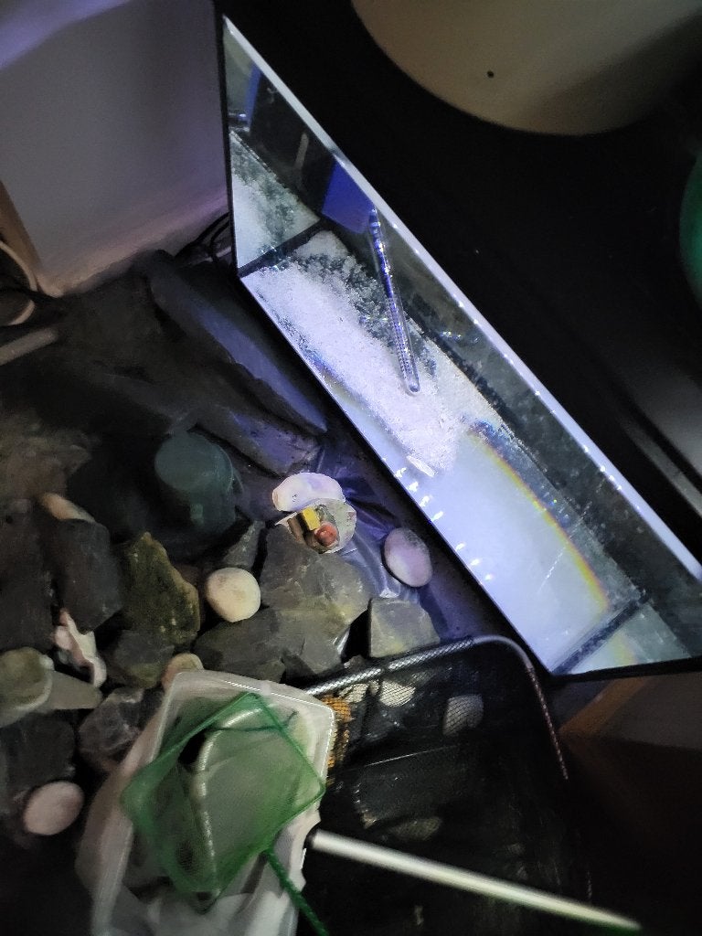 superfisch 60x30x30 cm aquarium gratis  afhalen, Ophalen, Gebruikt, Superfish, Inclusief deksel