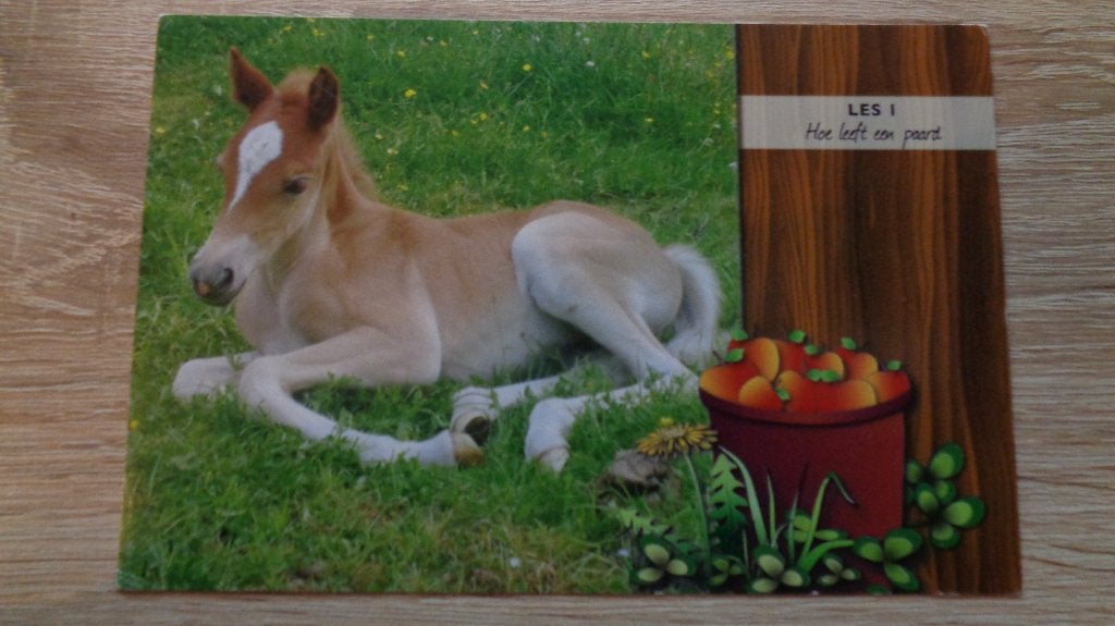 Paard, Verzenden, 1980 tot heden, Ongelopen, Overige thema's
