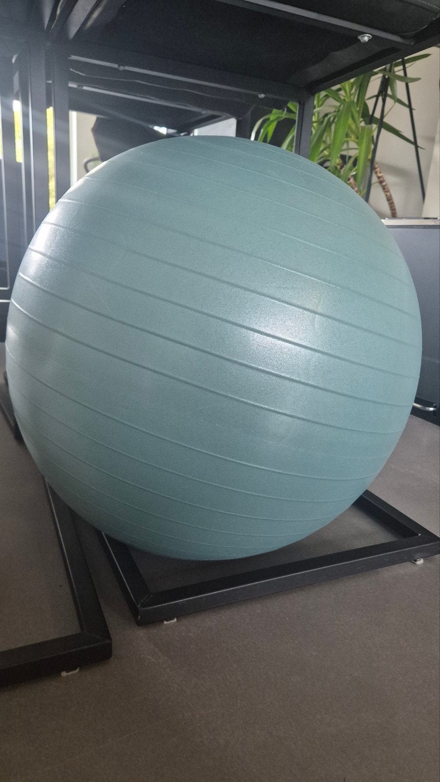 Rockerz fitness bal, Ophalen of Verzenden, Zo goed als nieuw, Overig