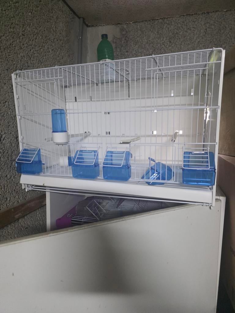 Kooie, Ophalen of Verzenden, Zo goed als nieuw, Kunststof, Vogelkooi
