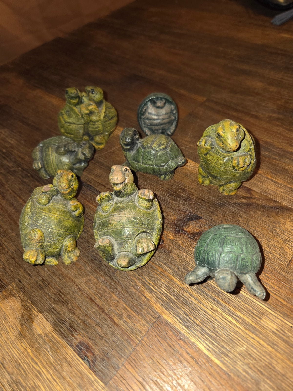 Schildpad verzameling, Verzamelen, Ophalen of Verzenden, Gebruikt, Dier
