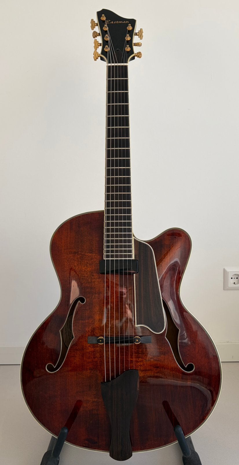 Eastman AR810CE-7 (7 string archtop), Ophalen, Gebruikt, Hollow body, Overige merken