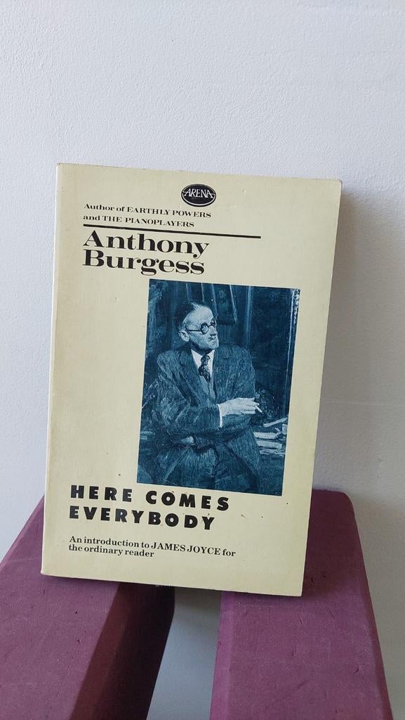 Here Comes Everybody - Anthony Burgess (James Joyce), Ophalen of Verzenden, Gelezen, Anthony Burgess, Europa overig