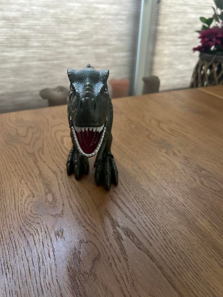 Dino’s, Ophalen of Verzenden, Gebruikt, Jongen of Meisje