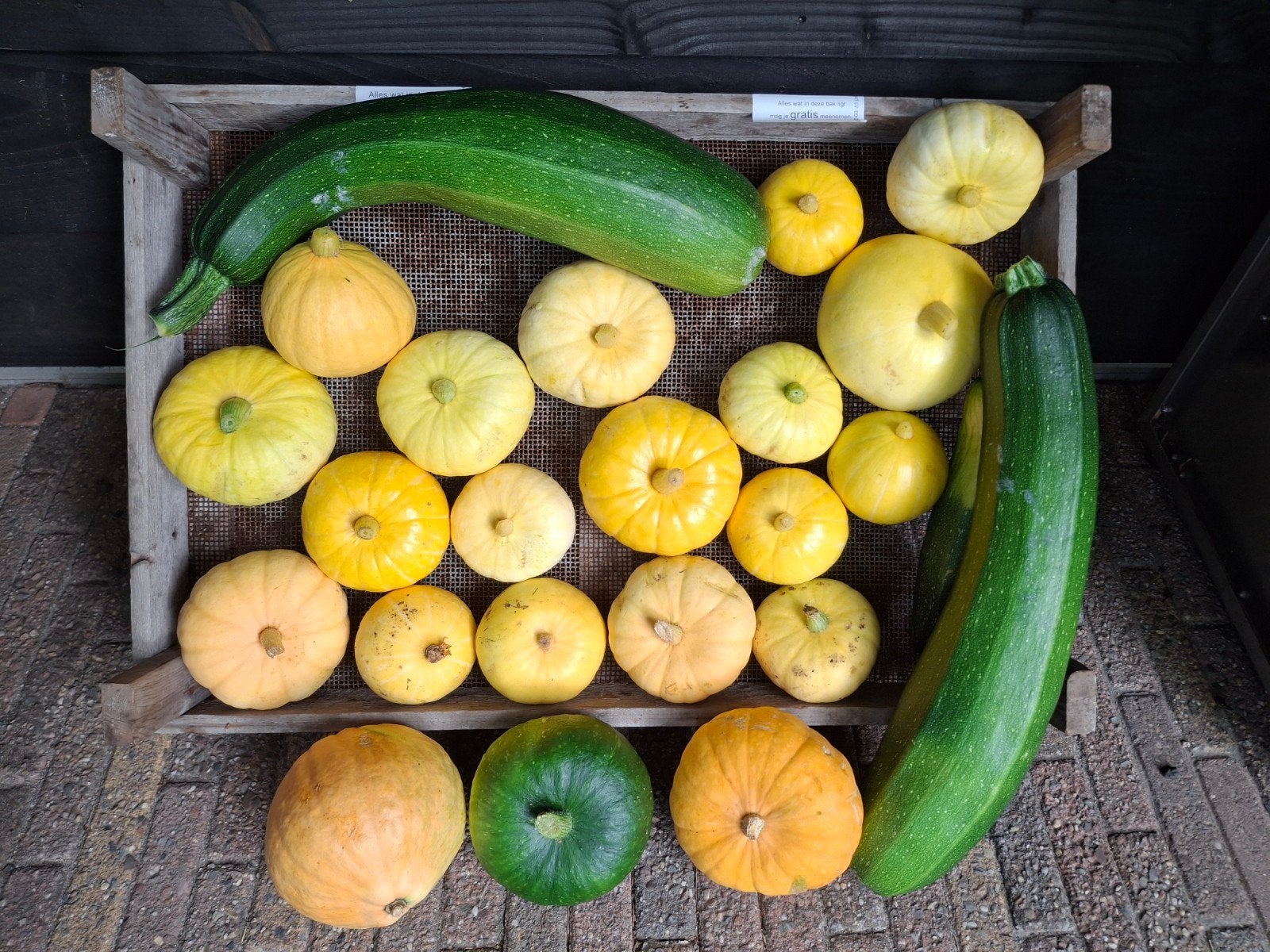Courgette , pompoenen gratis bij Eierautomaat Rutten, Ophalen