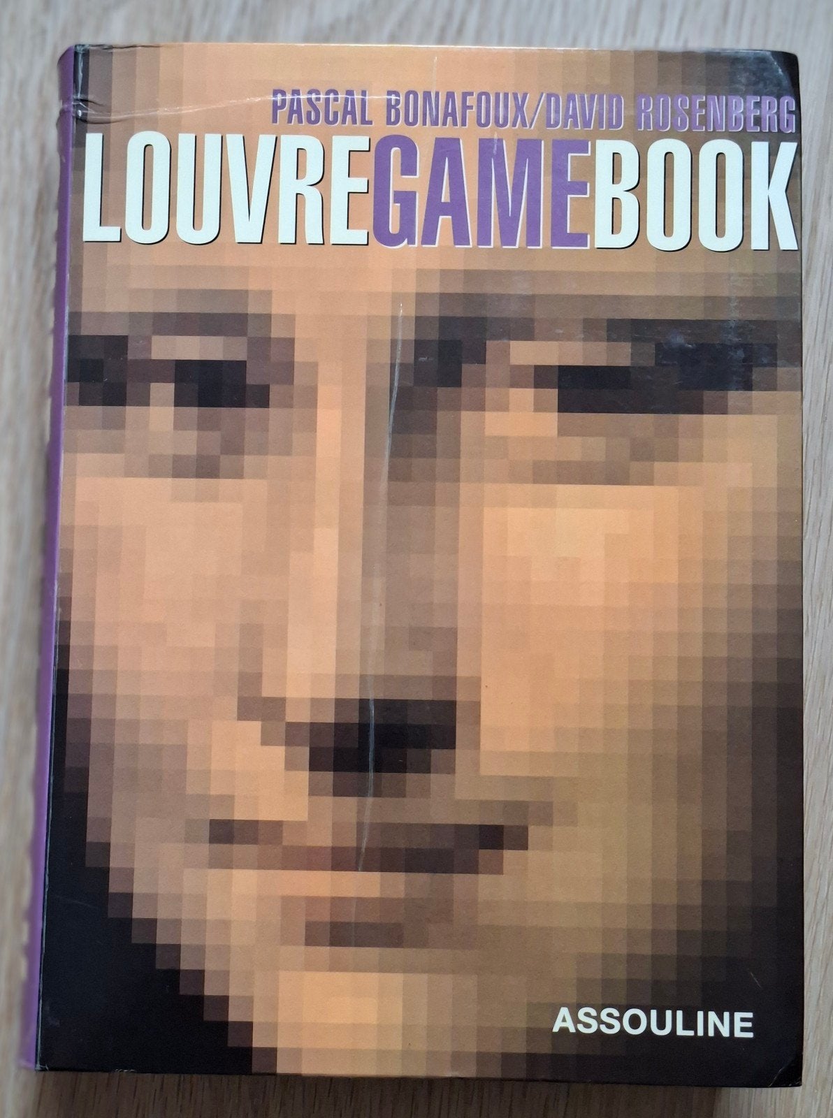 Louvre Gamebook, Ophalen of Verzenden, Gelezen