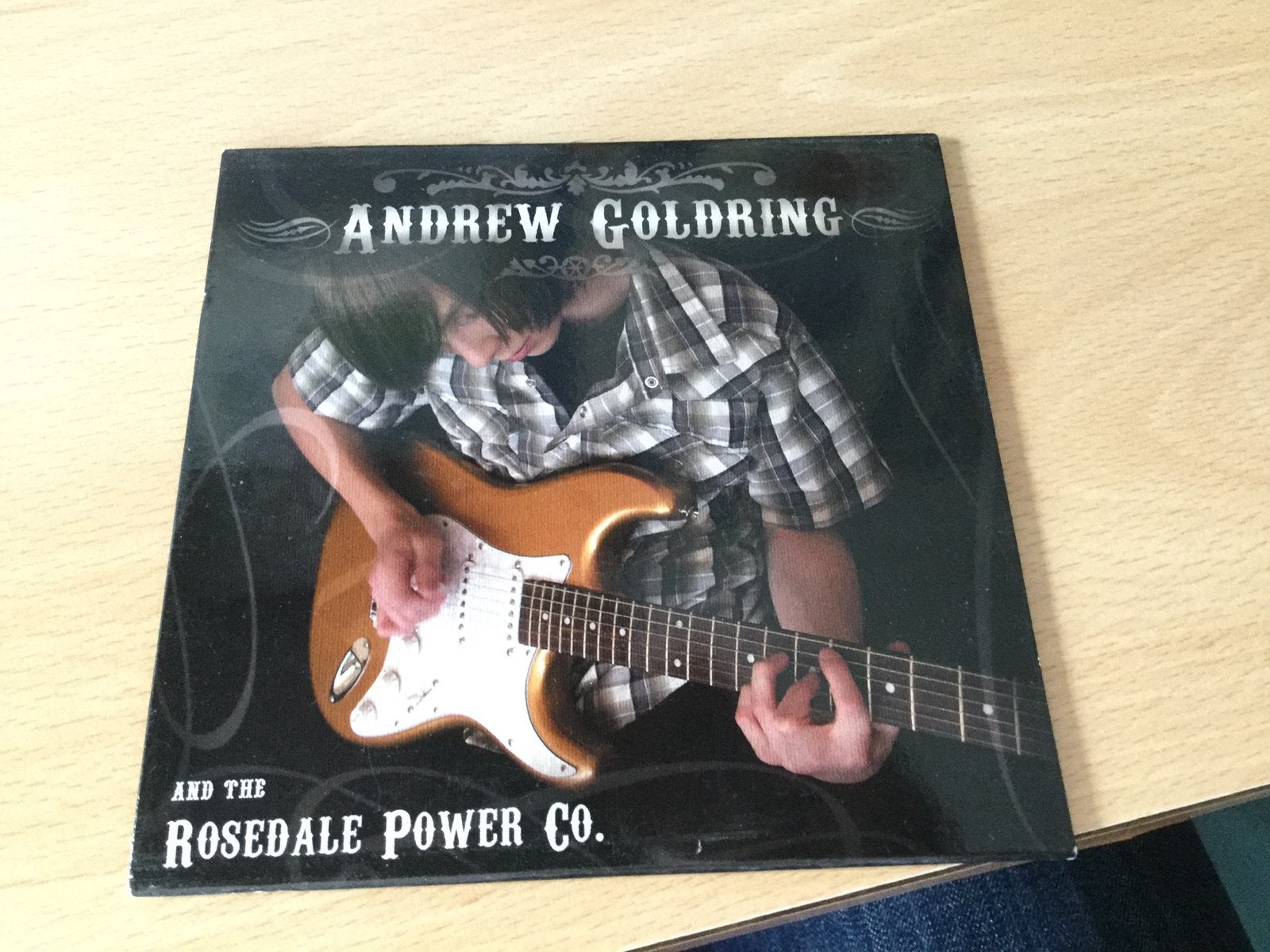 Andrew Goldring and the Rosedale Power Co., Ophalen of Verzenden, Zo goed als nieuw, Poprock