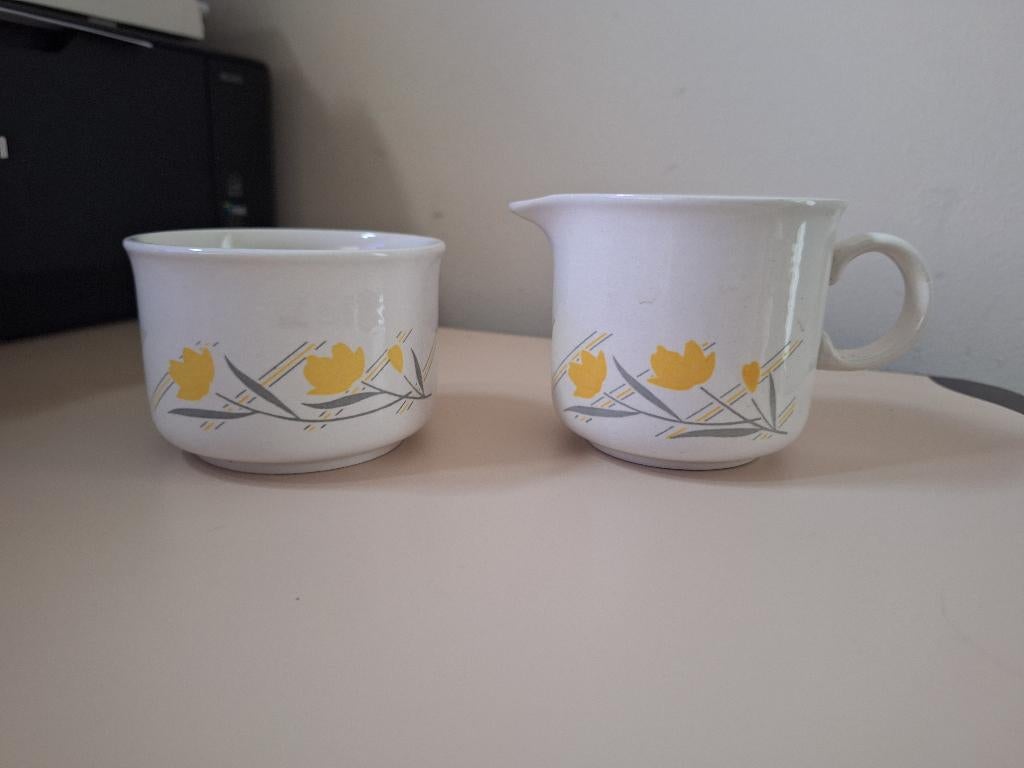 melk en suikerpotje, Ophalen of Verzenden, Zo goed als nieuw, Overige stijlen, Overige typen