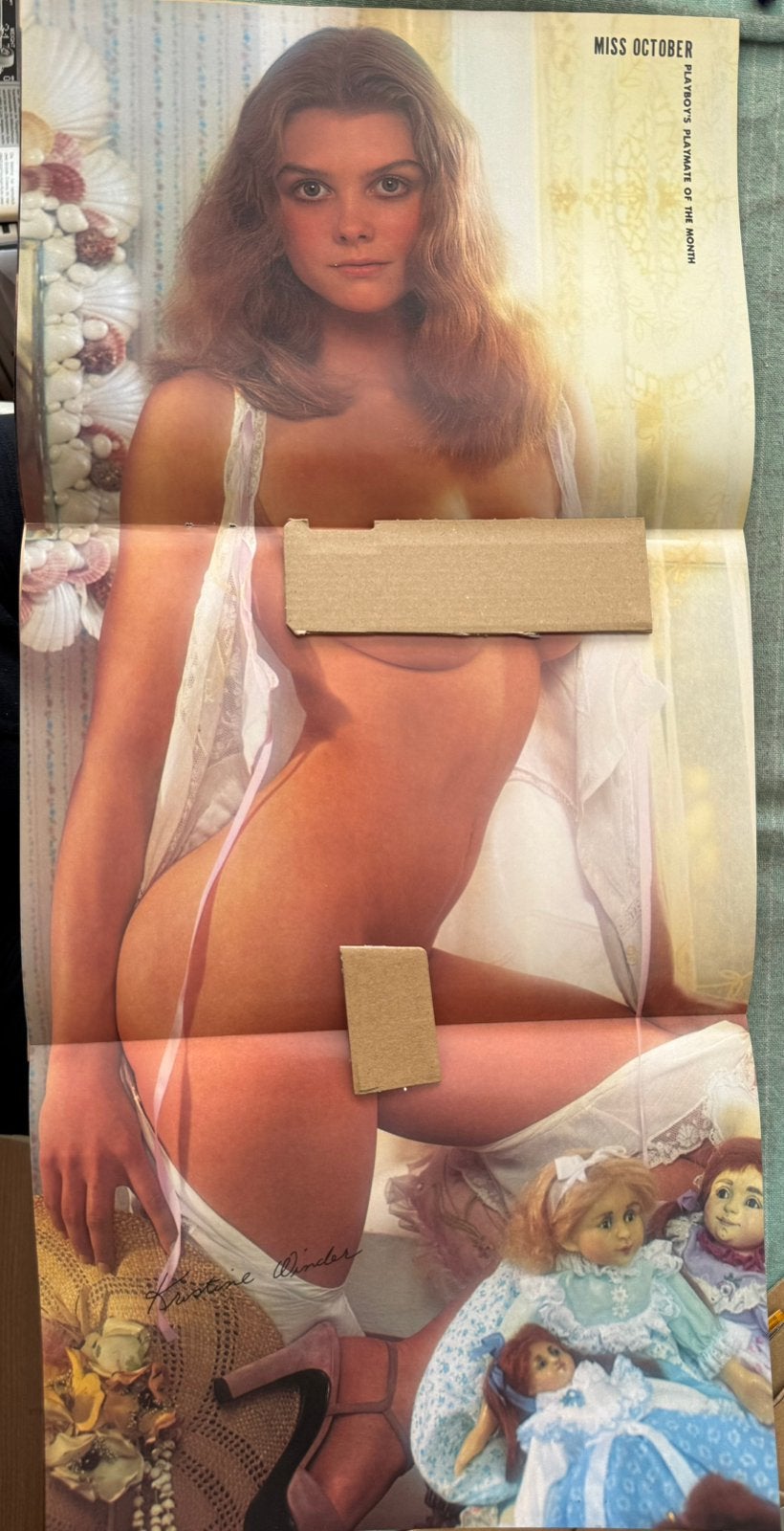 Poster playmate Kristine Winder oktober 1977, Verzamelen, Posters, Rechthoekig Staand, Verzenden, Deurposter of groter, Zo goed als nieuw