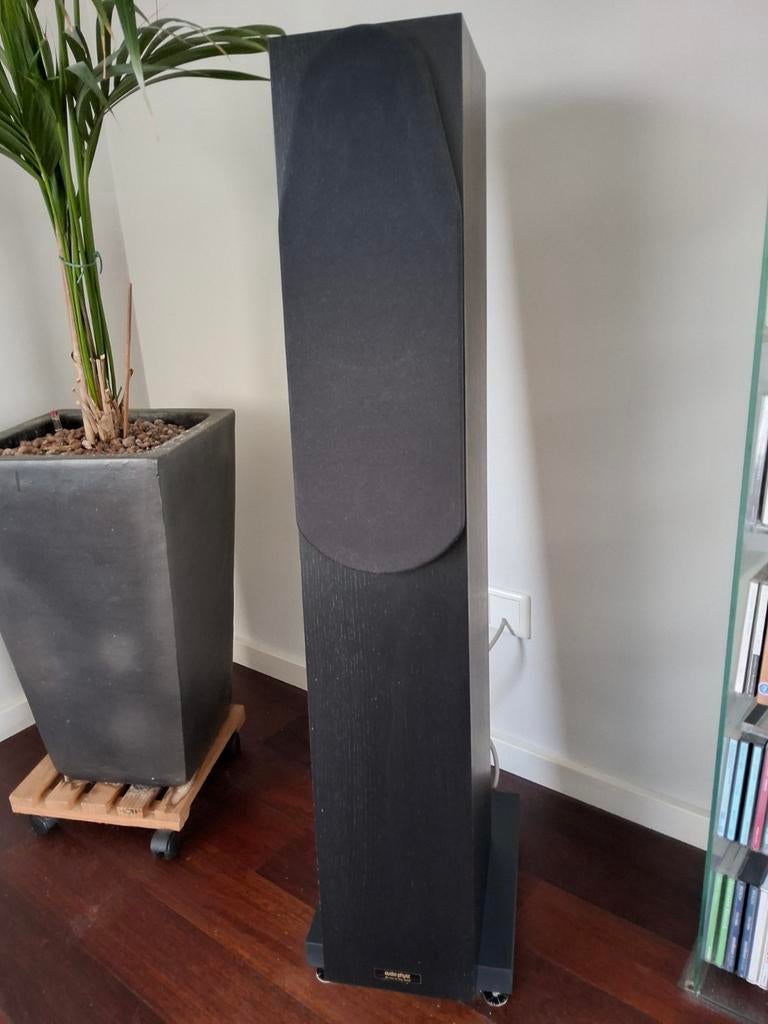 Audio Physics Tempo luidsprekerboxen (2 stuks), Ophalen