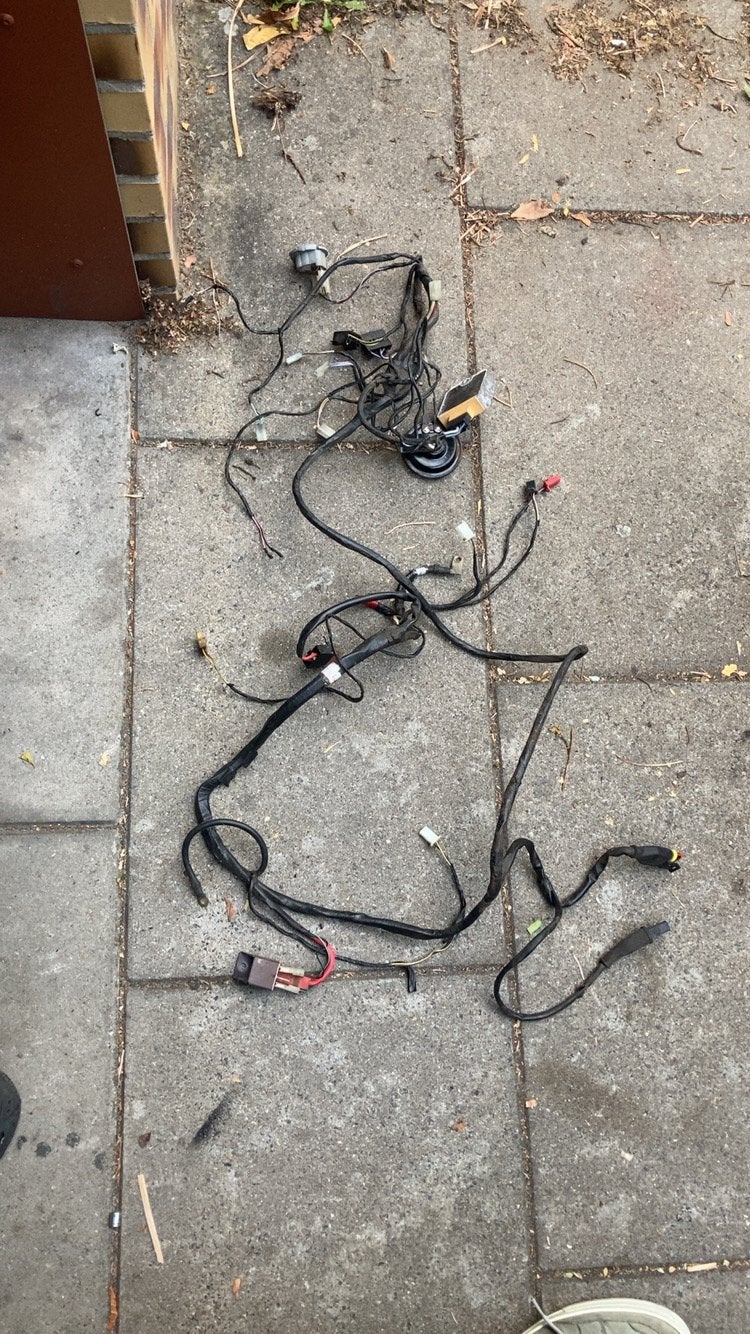 Ongeknipte piaggio zip 4T 2V kabelboom, Ophalen, Nieuw, Overige typen