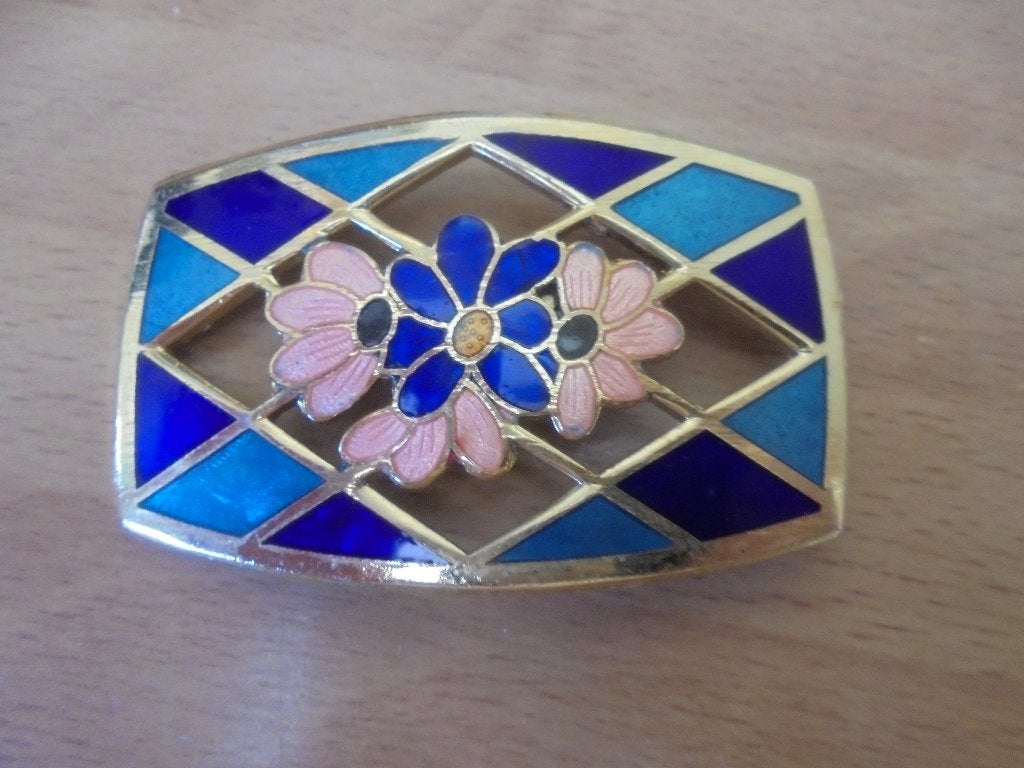 Emaille cloisonné broche, Ophalen of Verzenden, Zo goed als nieuw, 4 tot 7 cm, Overige materialen