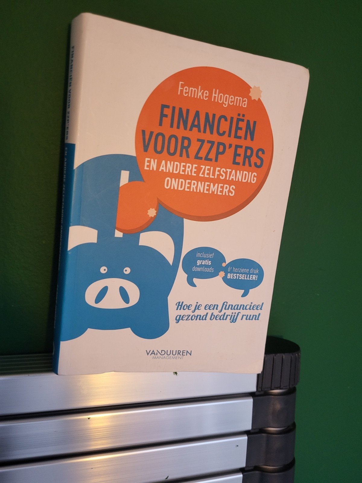Financiën voor ZZP'ers - Femke Hogema, Ophalen of Verzenden, Zo goed als nieuw, Economie en Marketing, Femke Hogema