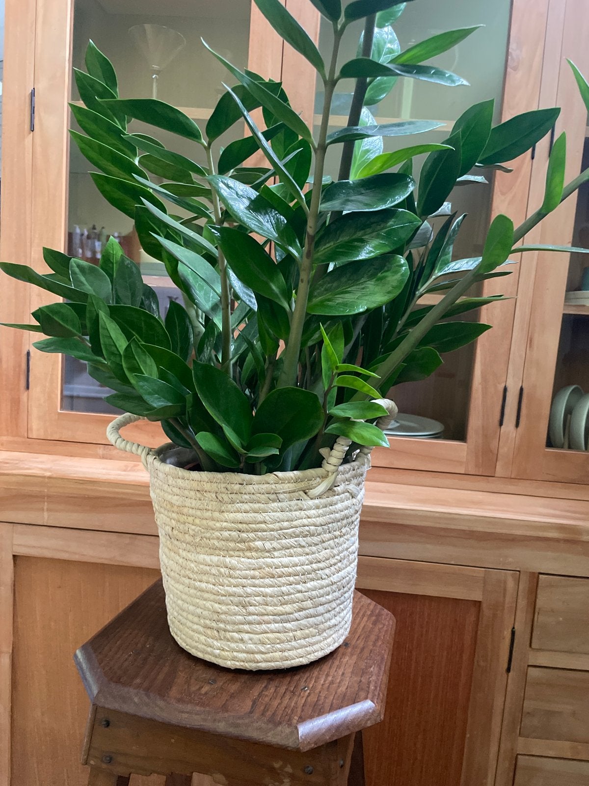 Mooie rieten plantenmand, Ophalen, Overige materialen, Rond, Binnen