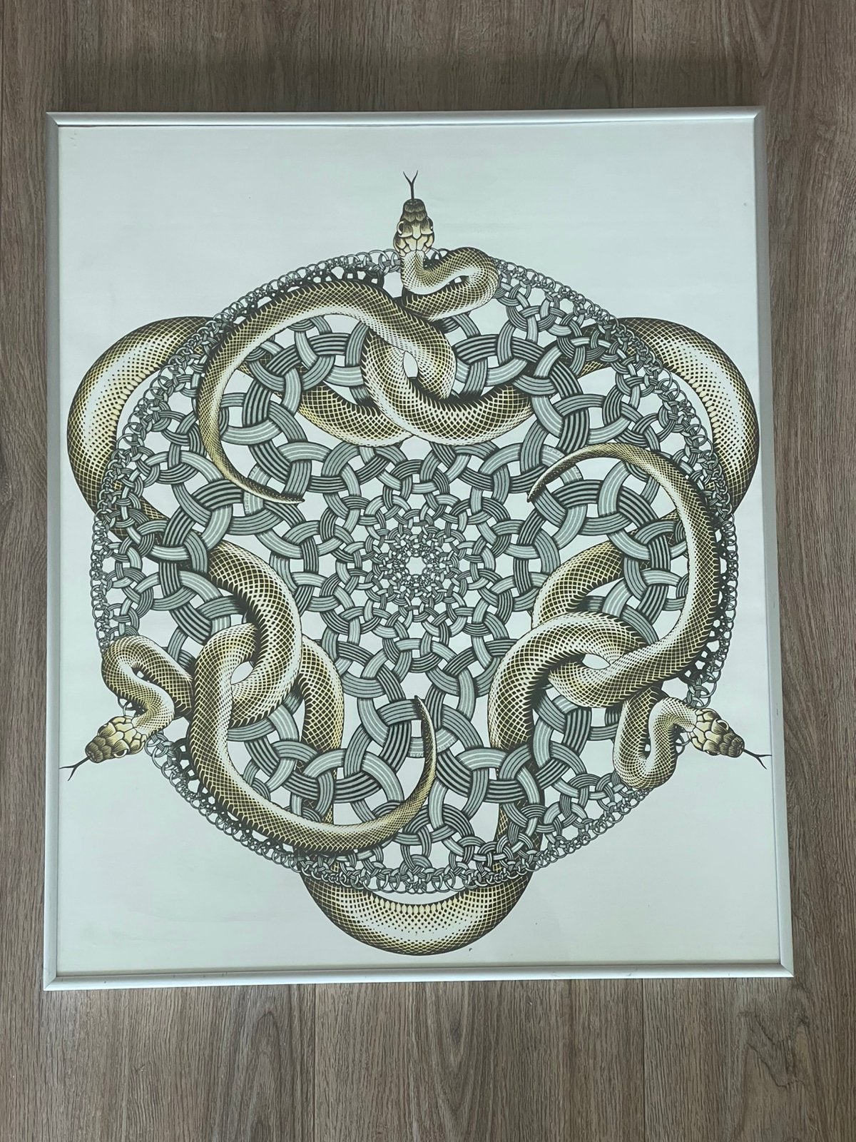 Unieke Slangen Mandala Kunstprint in Lijst, Huis en Inrichting, Ophalen, Gebruikt, 50 tot 75 cm, Print