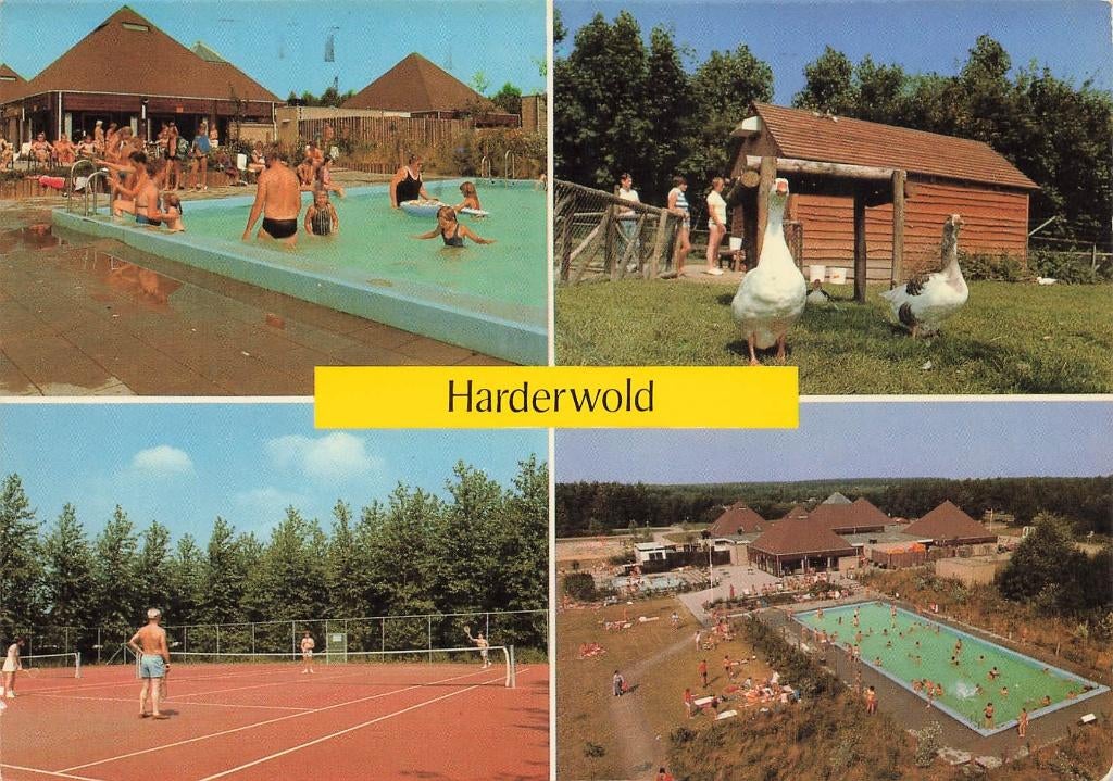Zeewolde, Bungalowpark Harderwold, Verzamelen, Ansichtkaarten | Nederland, Ophalen of Verzenden, 1980 tot heden, Gelopen, Flevoland