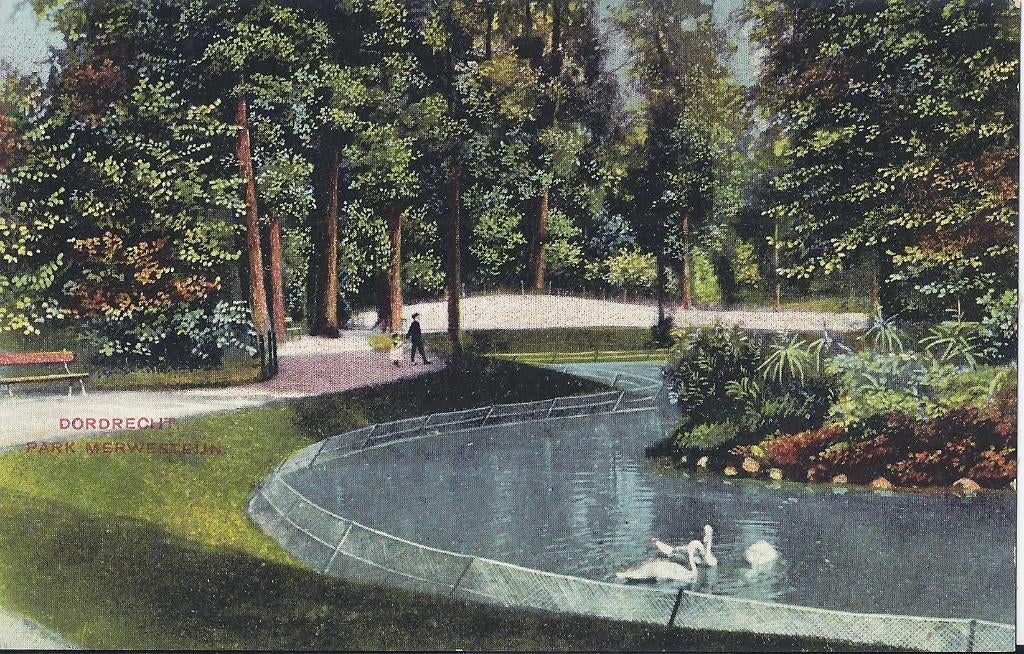 Dordrecht Park Merwesteijn Ongelopen Ansichtkaart, Verzamelen, Ansichtkaarten | Nederland, Ophalen of Verzenden, 1940 tot 1960