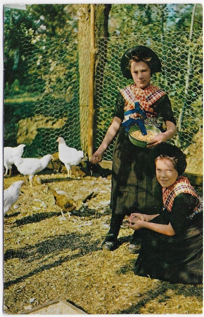Staphorst Klederdracht Oude Gelopen Ansichtkaart ( B3206 ), Ophalen of Verzenden, 1960 tot 1980, Gelopen, Zeeland