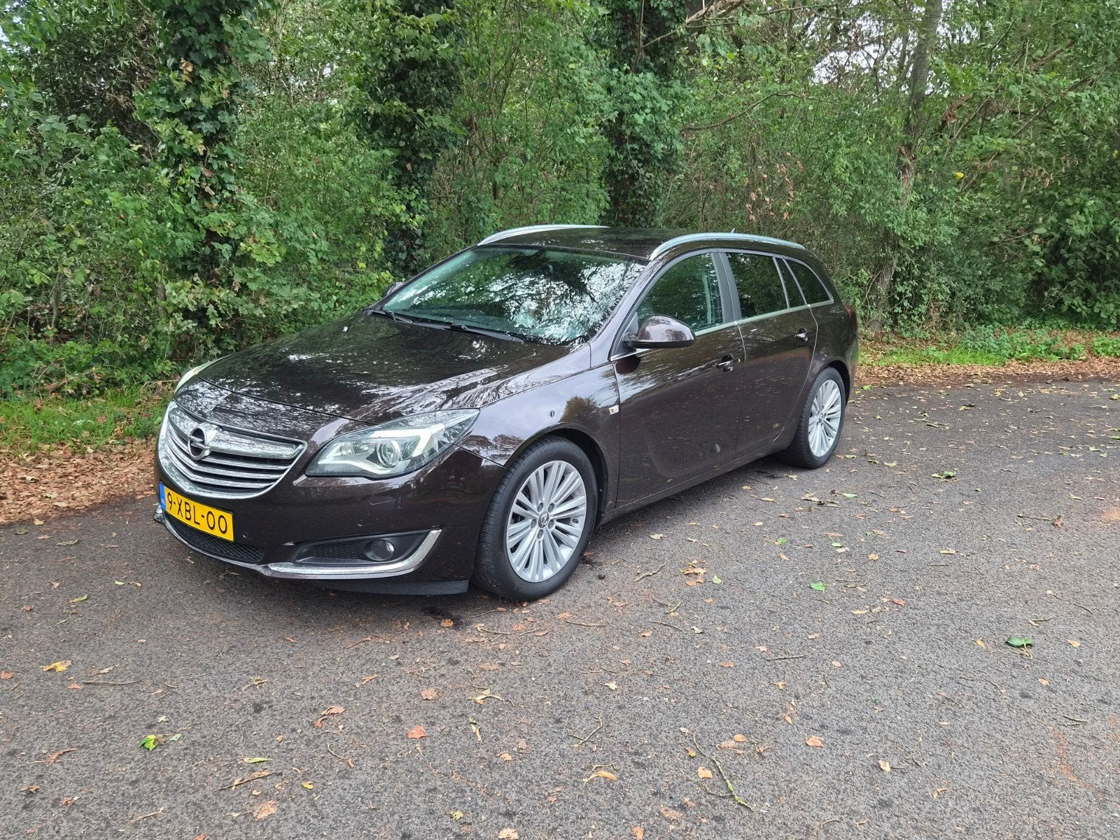 Opel Insignia 2.0 Cdti 103KW Sports Tourer 2014 Bussines+, Auto's, Opel, Voorwielaandrijving, Euro 5, Stof, 1956 cc