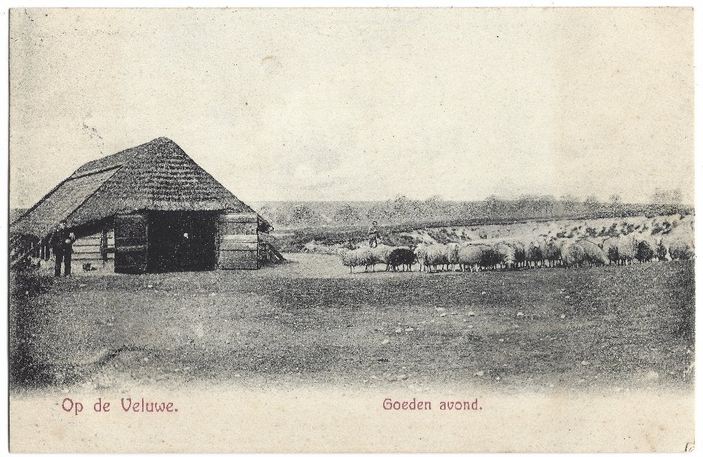 Veluwe, Op de Veluwe - Goeden avond - Opruimingskaart, Ophalen of Verzenden, Voor 1920, Ongelopen, Gelderland
