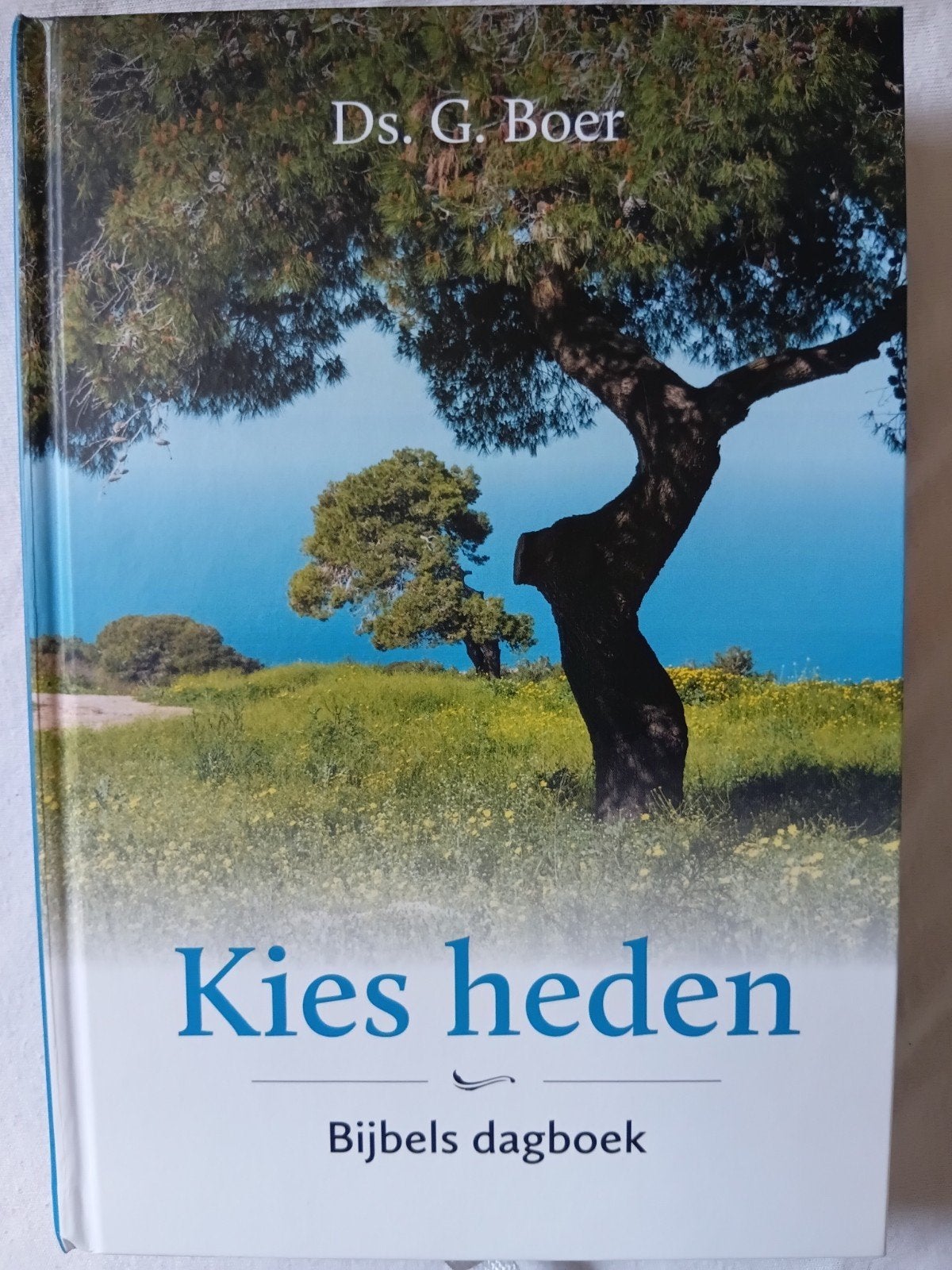 G. Boer - Kies heden, Ophalen of Verzenden, Zo goed als nieuw, G. Boer
