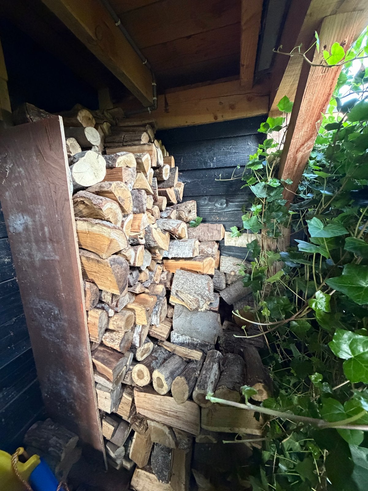 Gedroogd haardhout: eik, beuk, es (ca. 2 m³), Minder dan 3 m³, Ophalen, Eikenhout, Blokken