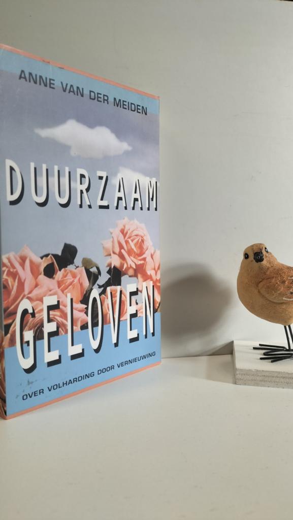 Meiden, Anne van der; Duurzaam geloven, Ophalen of Verzenden, Gelezen, Christendom | Protestants