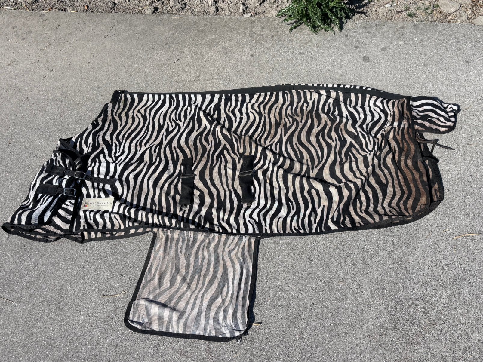 Zebra vliegendeken met buikflap 185/195, Dieren en Toebehoren, Paarden en Pony's | Dekens en Dekjes, Meerkleurig, Gebruikt, Overige merken