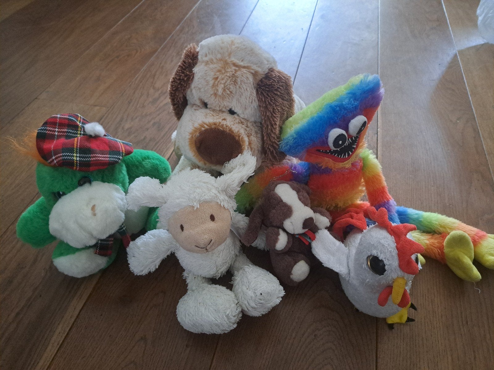 Diverse knuffels gratis, Ophalen, Overige typen