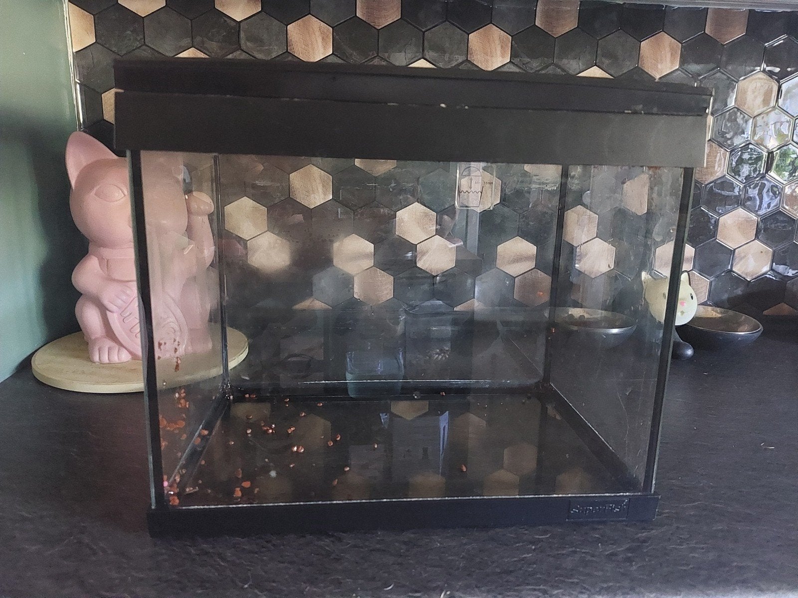 superfish 20, Ophalen, Gebruikt, Leeg aquarium, Superfish