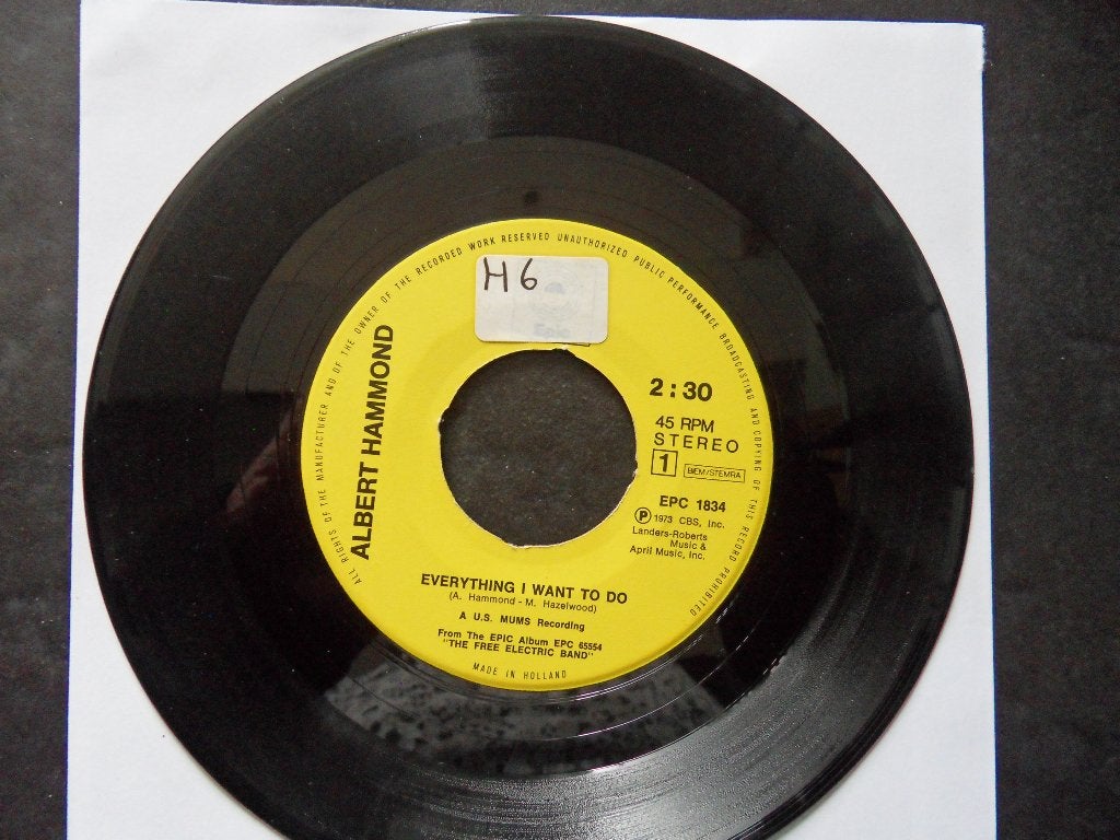 Albert Hammond - Everything I want to do, Cd's en Dvd's, Vinyl Singles, Ophalen of Verzenden, Gebruikt, Pop