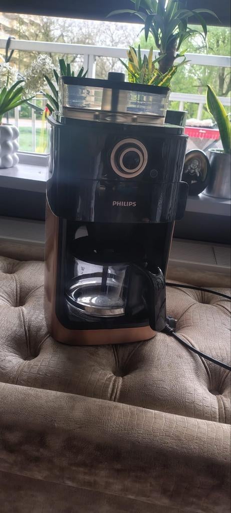 Te koop koffie apperaat met filter en bonen kan je, Ophalen, Zo goed als nieuw