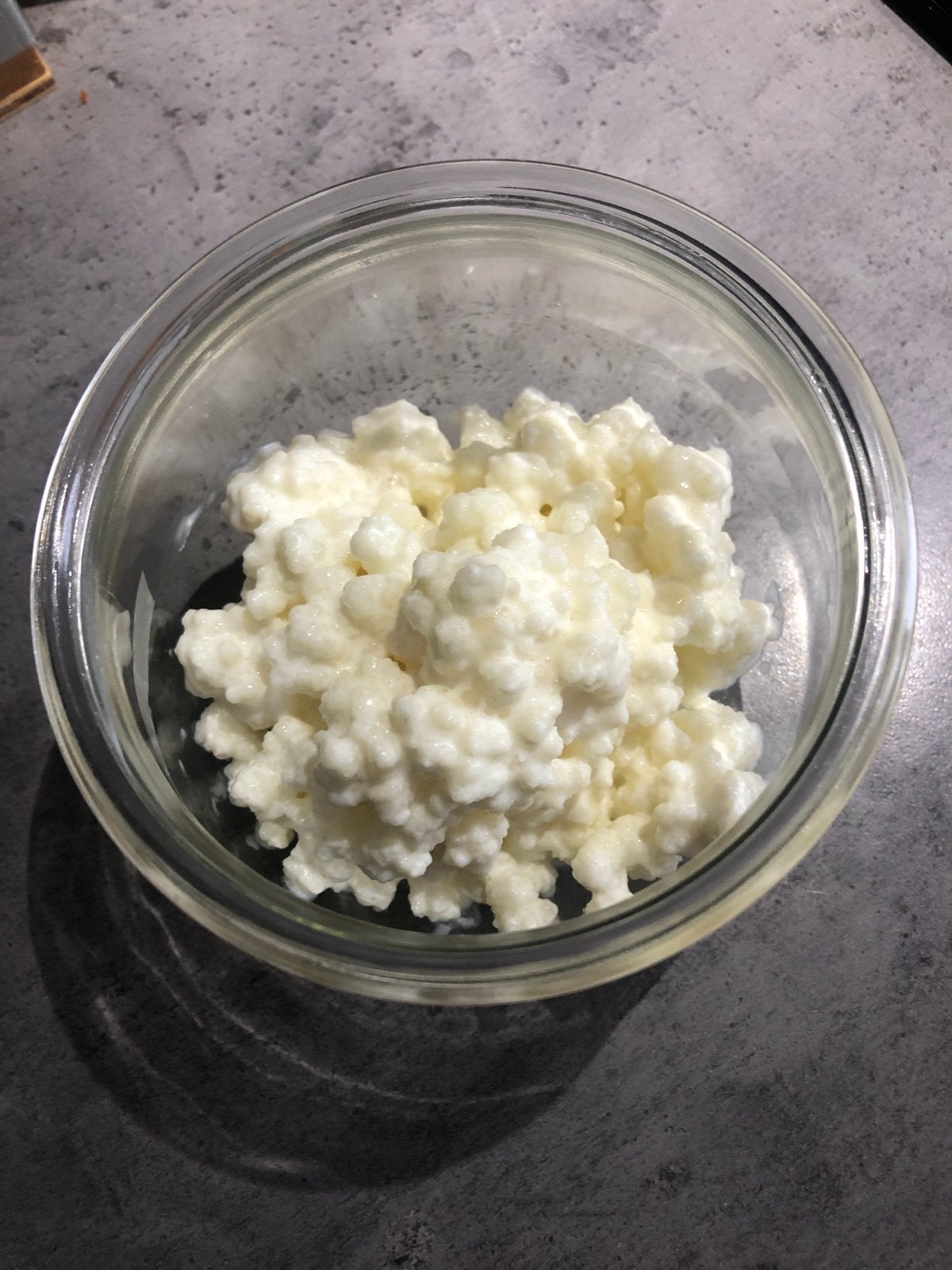 Melkkefir van biologische volle melk, Ophalen of Verzenden