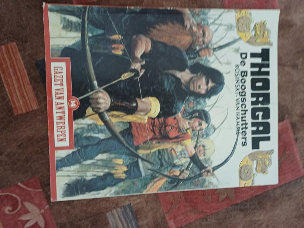 THORGAL - DE BOOGSCHUTTERS, Boeken, Eén stripboek, Ophalen of Verzenden, Zo goed als nieuw