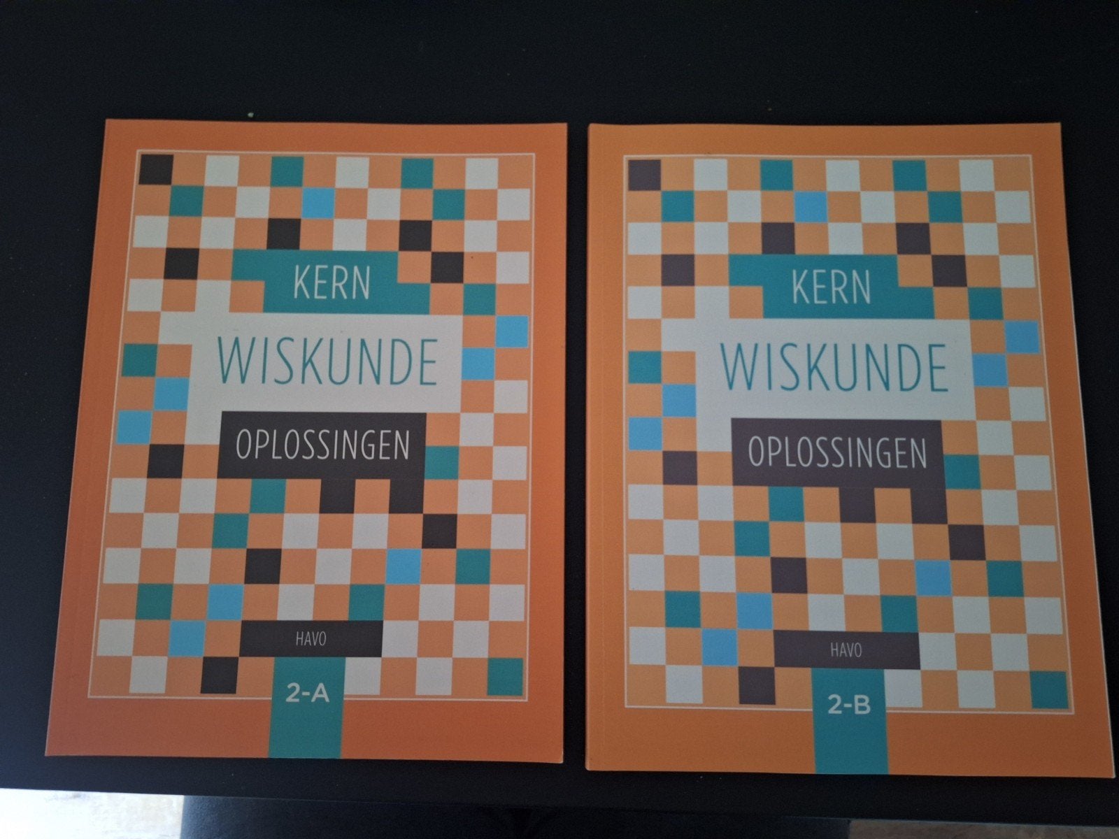 oplossingenboek havo 2 deel A, Boeken, Ophalen of Verzenden, Zo goed als nieuw, Overige niveaus, Nederlands