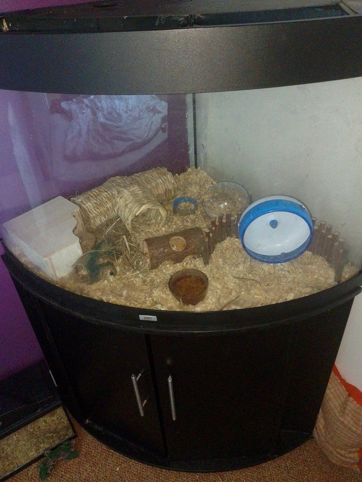 Terrarium/aquarium. 59x69x110, Ophalen, Hok, Hamster, Minder dan 60 cm