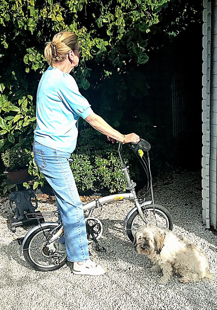 VOUW-LOOPFIETS, Gebruikt, Velgrem, Versnellingen, Ophalen