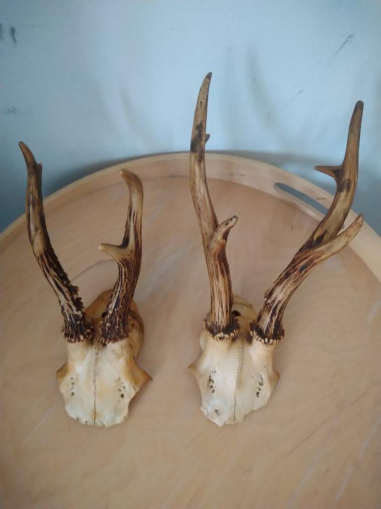 Twee geweitjes, Ophalen of Verzenden