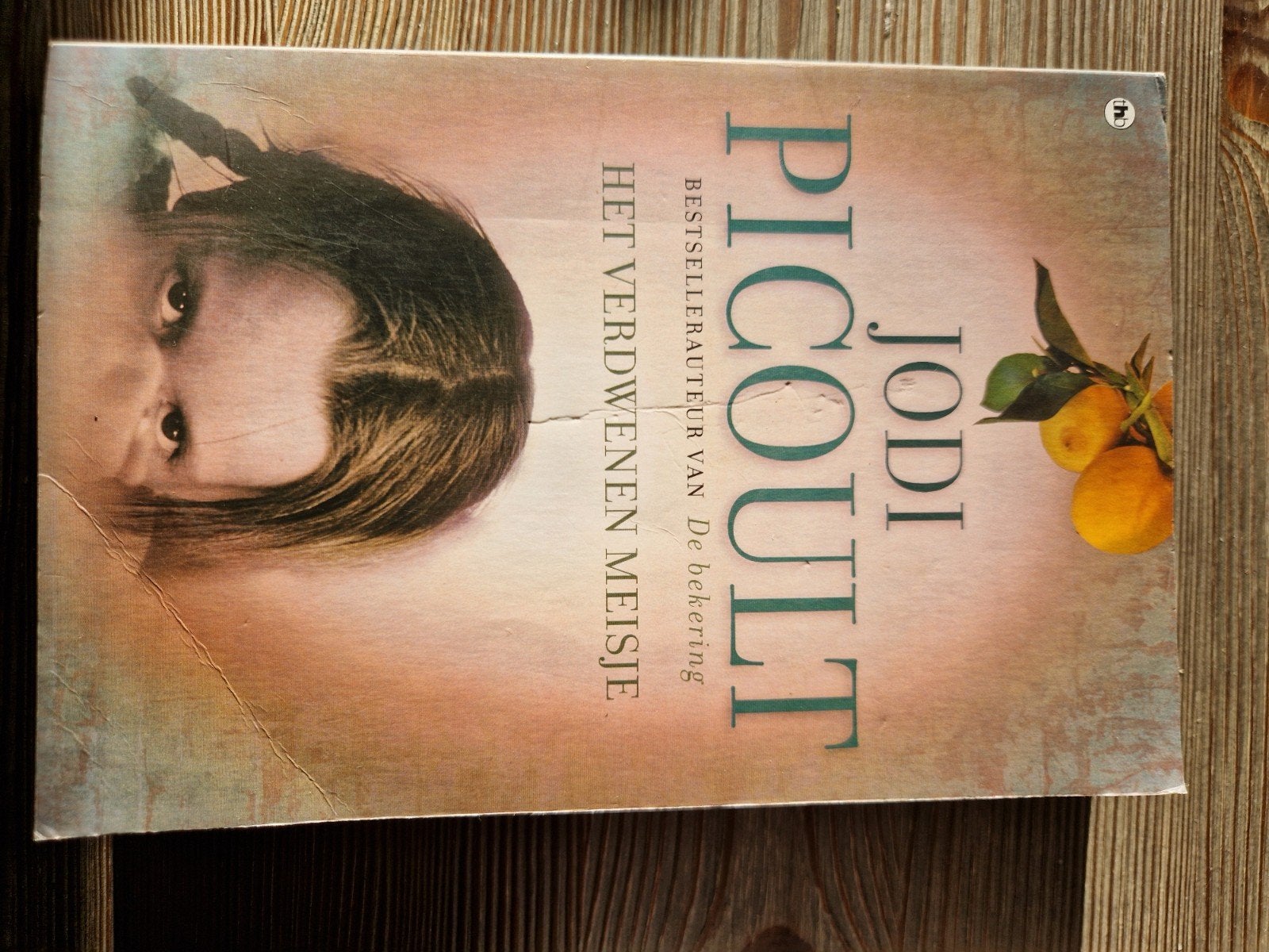 Jodi Picoult - Het Verdwenen Meisje, Ophalen of Verzenden, Gelezen, Jodi Picoult, Nederland