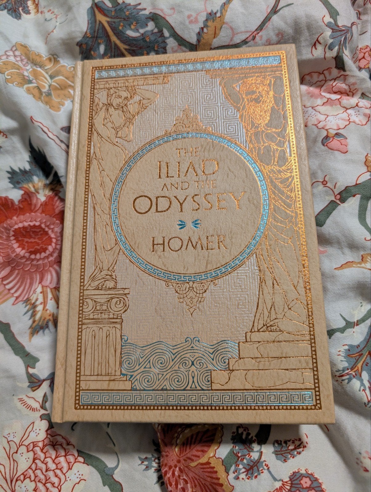 The Iliad and the Odyssey Barnes & Noble Special Edition, Boeken, Ophalen, Zo goed als nieuw
