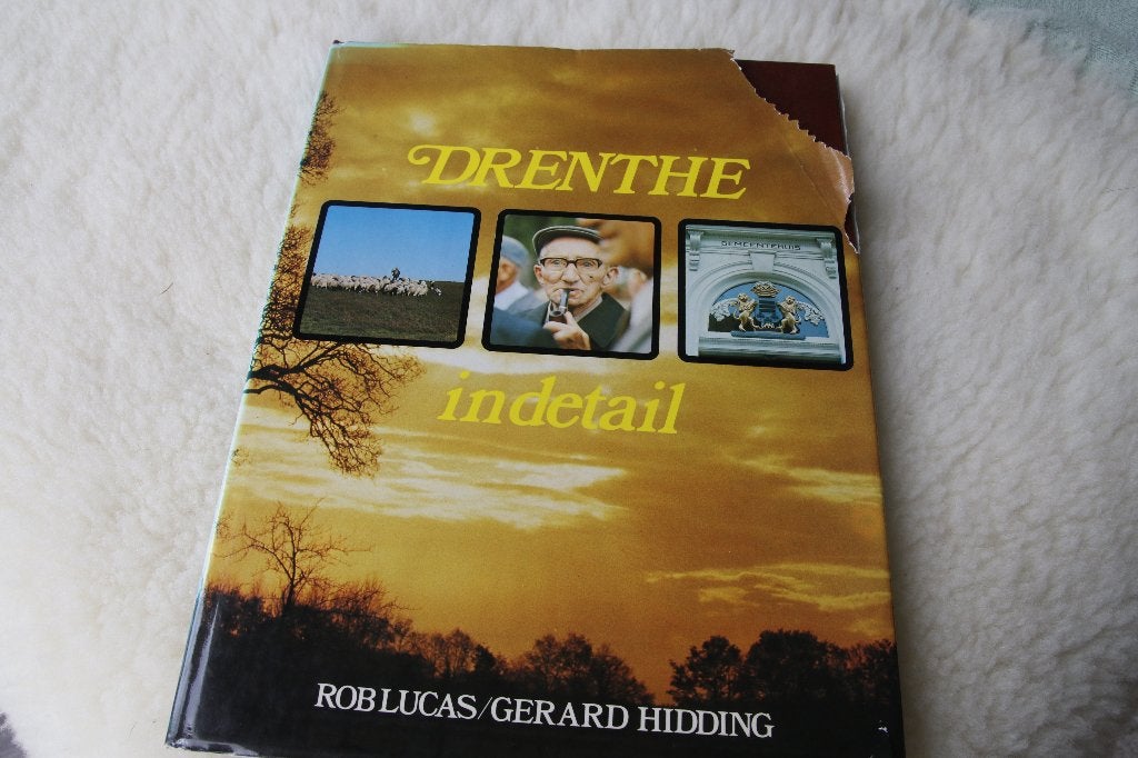Drenthe in detail. Rob Lucas/Gerard Hidding, Ophalen of Verzenden, Gelezen